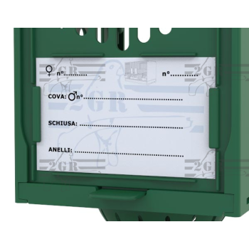 Nest "Cardinal" 8 cm - Green