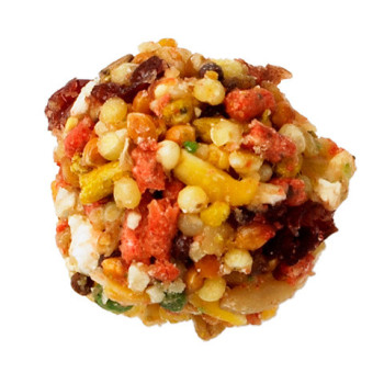 Nutri-Berries "sunny orchard" parrot 284g