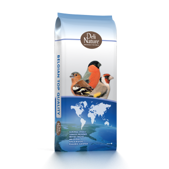 Millet jaune français pour oiseaux Grain de Vie - 1 kg : Grain de vie GRAIN  DE VIE animalerie - botanic®