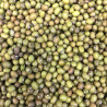 Soybeans 1kg - Katjang Idjoe Soybeans 1kg - Katjang Idjoe