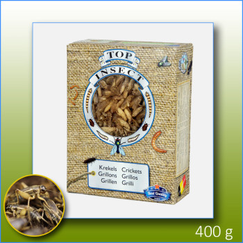 Grillons congelés 400g -...