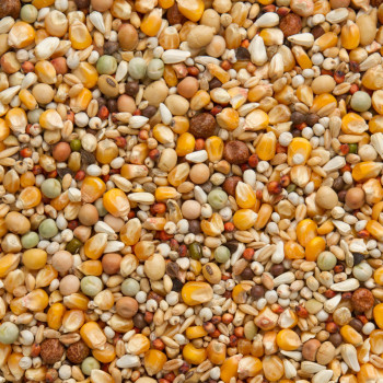 Premium Super Veuvage 20kg - beyers