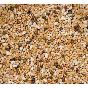 Premium Verkerk Light 20kg - beyers