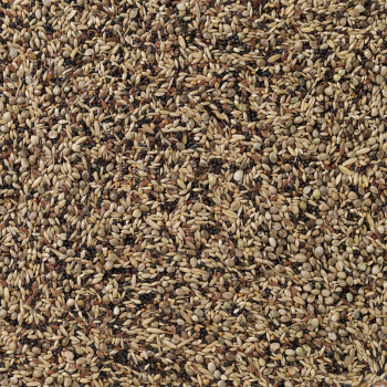 Inheemse vogels 20kg - No.91 - Deli-Nature (Beyers)