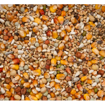 Premium Verkerk sport 20kg - Beyers