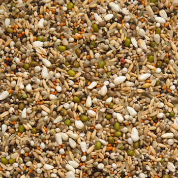 Premium Exclusieve Traktaties 20kg - beyers