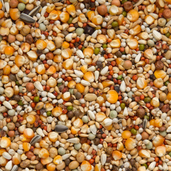 Premium Super rui 20kg - Beyers