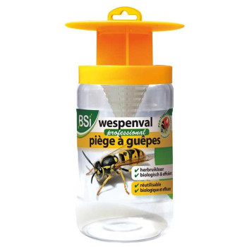 Wiederverwendbare Wespfalle - BSI