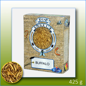 Vers Buffalo congelés  425g...