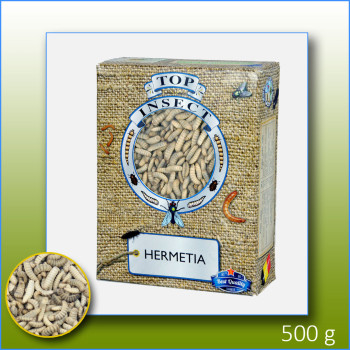 Hermetia congelés 500g -...