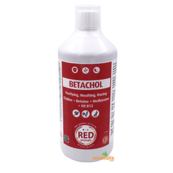 Betachol 1 liter
