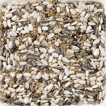 59 - Grandes Perruches Standard 15kg