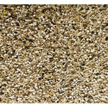 Tarins Américains 12,5 kg - N°98 - Deli-nature (Beyers)