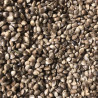 Hemp 20kg - Versele-Laga - €26 Hemp 20kg - Versele-Laga - €26
