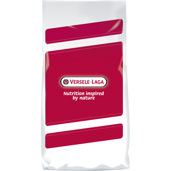 Canary seed (Millet Plat) 20 kg - Versele-Laga