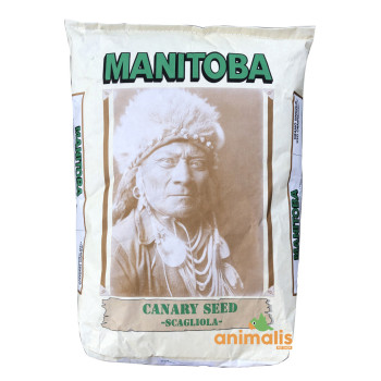 Kanariezaad 20kg - Manitoba