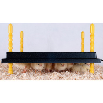 Plateau chauffant pour poussin 25x25cm - 15W - 220-240V