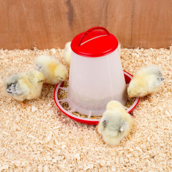 Hopper feeder with 3kg lid - red/white