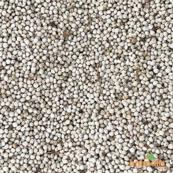 Perilla blanc 25kg