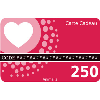 Carte cadeau 250