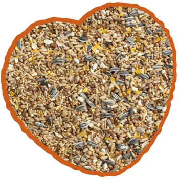 Mischung 4 Jahreszeiten Gartenvögel 1kg