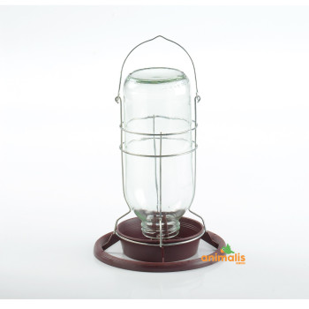 Waterer/Feeder "Miner's Lamp" in glass