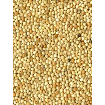 Millet blanc 20kg