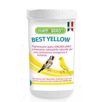 Best Yellow 100g - Yellow...