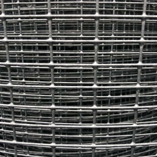 Lattice 12.7 x 25.4 x 1.45 mm - 1 meter