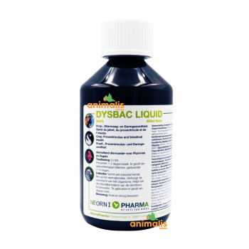 Dysbac Liquide 250ml -...