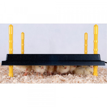 Heating tray for chicks 40X40 cm - 42W