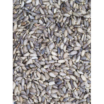 Chardon Marie 1kg - Vrac