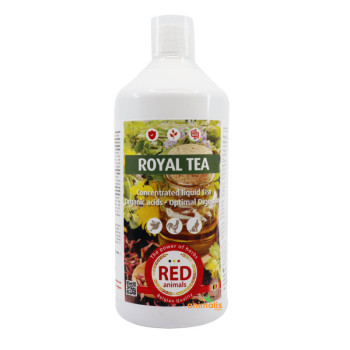 Royal Tea 1L - Flüssiger Tee