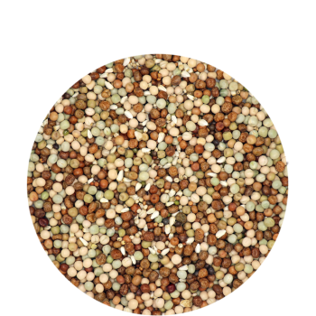 Lütticher Mix - 25kg