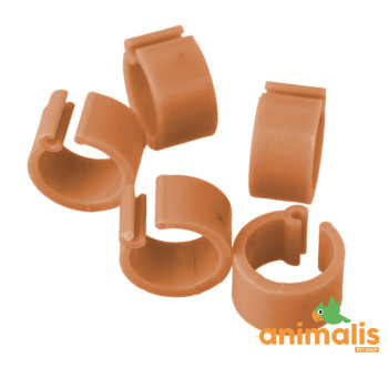 50 Bagues En Plastique Pour Pigeons - 9mm x 8mm - Couleur : Cuivre