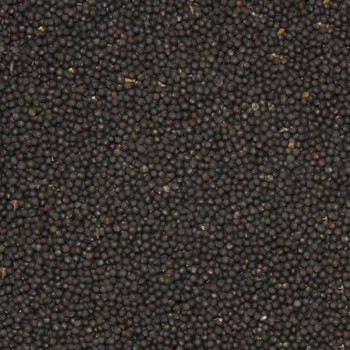 Shuttle 1kg - Losse verkoop