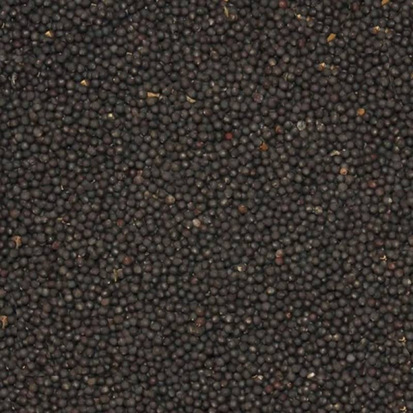Shuttle 1kg - A granel