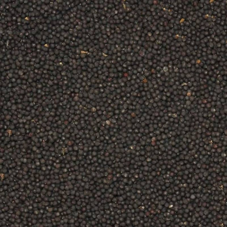 Shuttle 1kg - Bulk Shuttle 1kg - Bulk