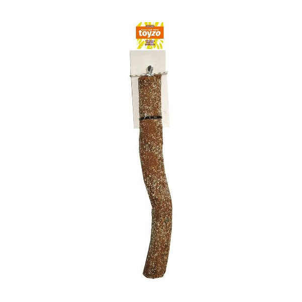 Sandblasted perch with coral - 50cm