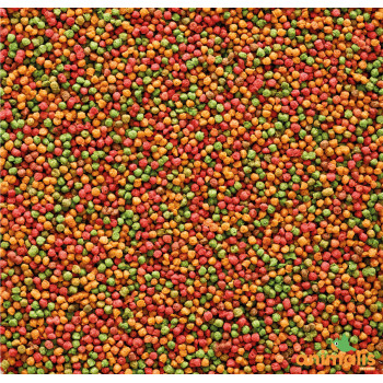 Nutribird B14 800g - Maintenance feed wavy parakeets and other small parakeets