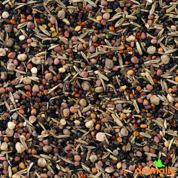 Health seeds 1kg