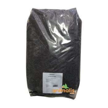 Graines de Niger 15 kg