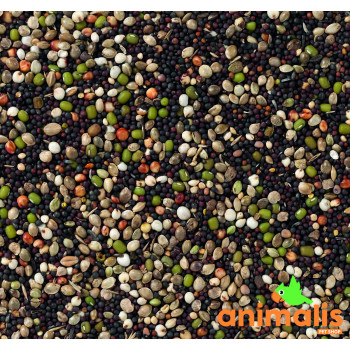 82 - Canary seeds to germinate 20kg - Deli Nature
