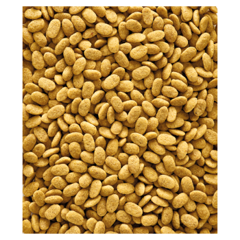 Nutribird P15 original 1kg - Granulés Extrudés - Aliment D'entretien Pour Perroquets