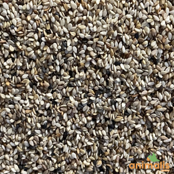 Sesam 1 kg