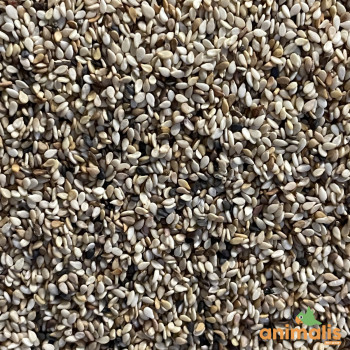 Sesame 1kg