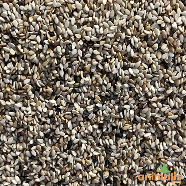 Sesam 1 kg