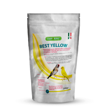 Best Yellow 200g - Colorant...
