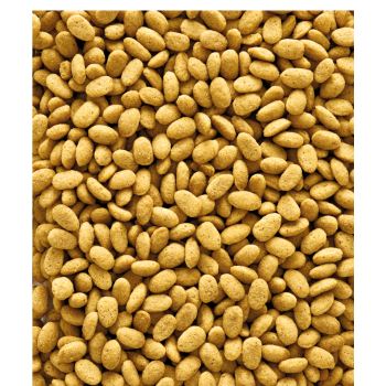 Nutribird P19 Origineel 10kg