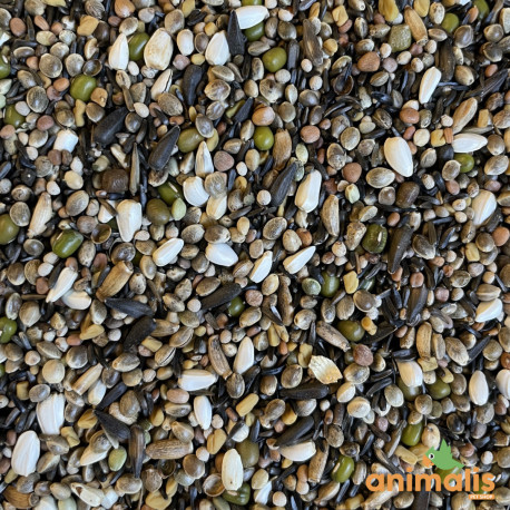 Mélange de graines à germer indigènes 1kg - Vrac Mélange de graines à germer indigènes 1kg - Vrac